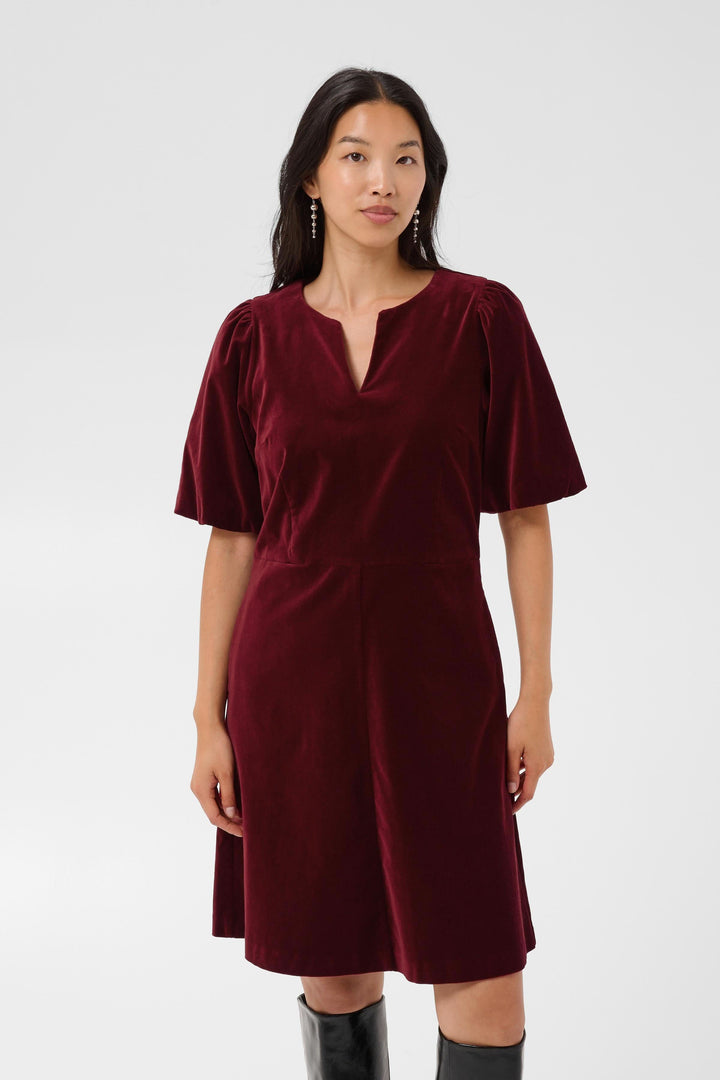 Part Two Daiva velvet dress for women